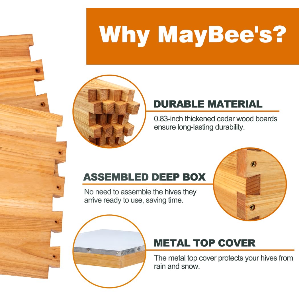 Bienenstock 8-Rahmen-Set: Wach – Beehive Frame Wax Bewertung und Preis