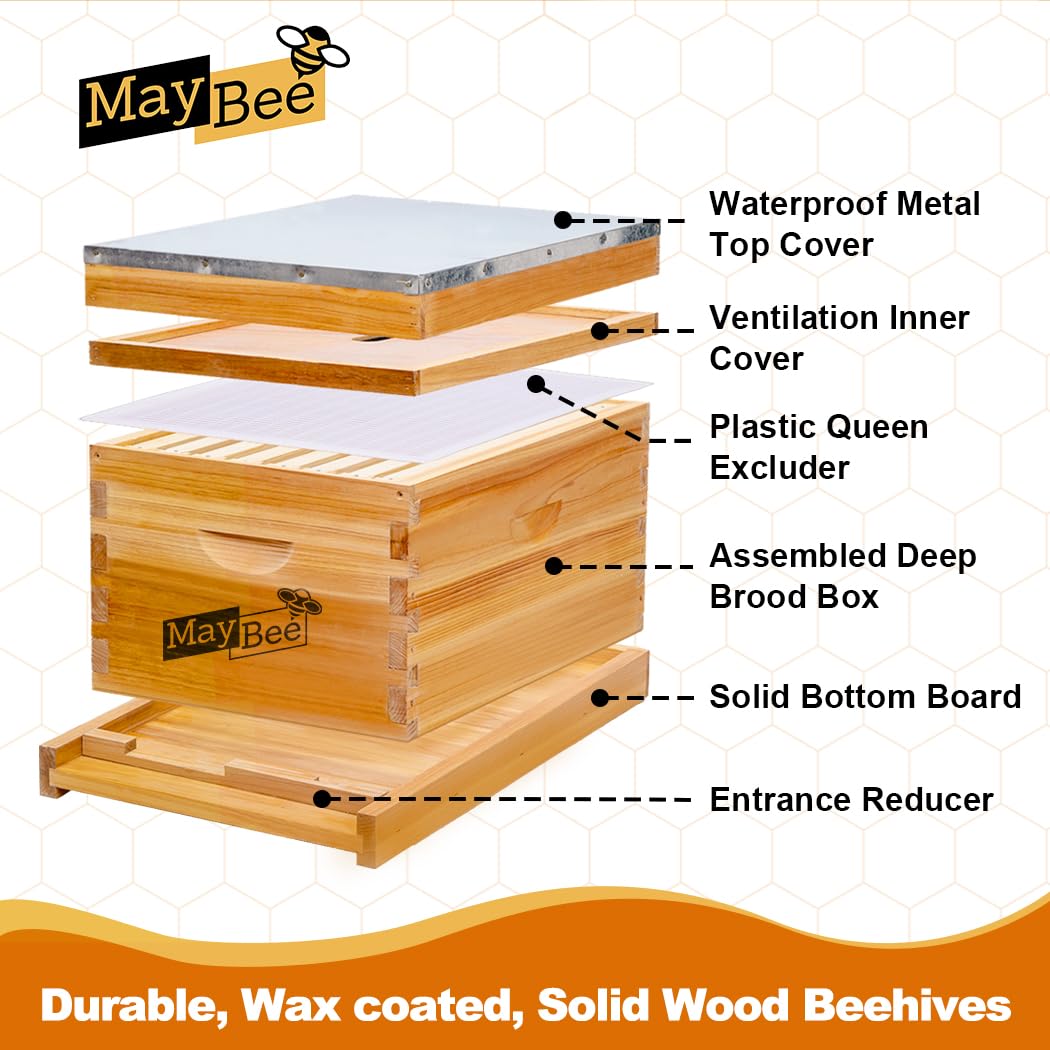 Bienenstock 8-Rahmen-Set: Wach – Beehive Frame Wax Bewertung und Preis