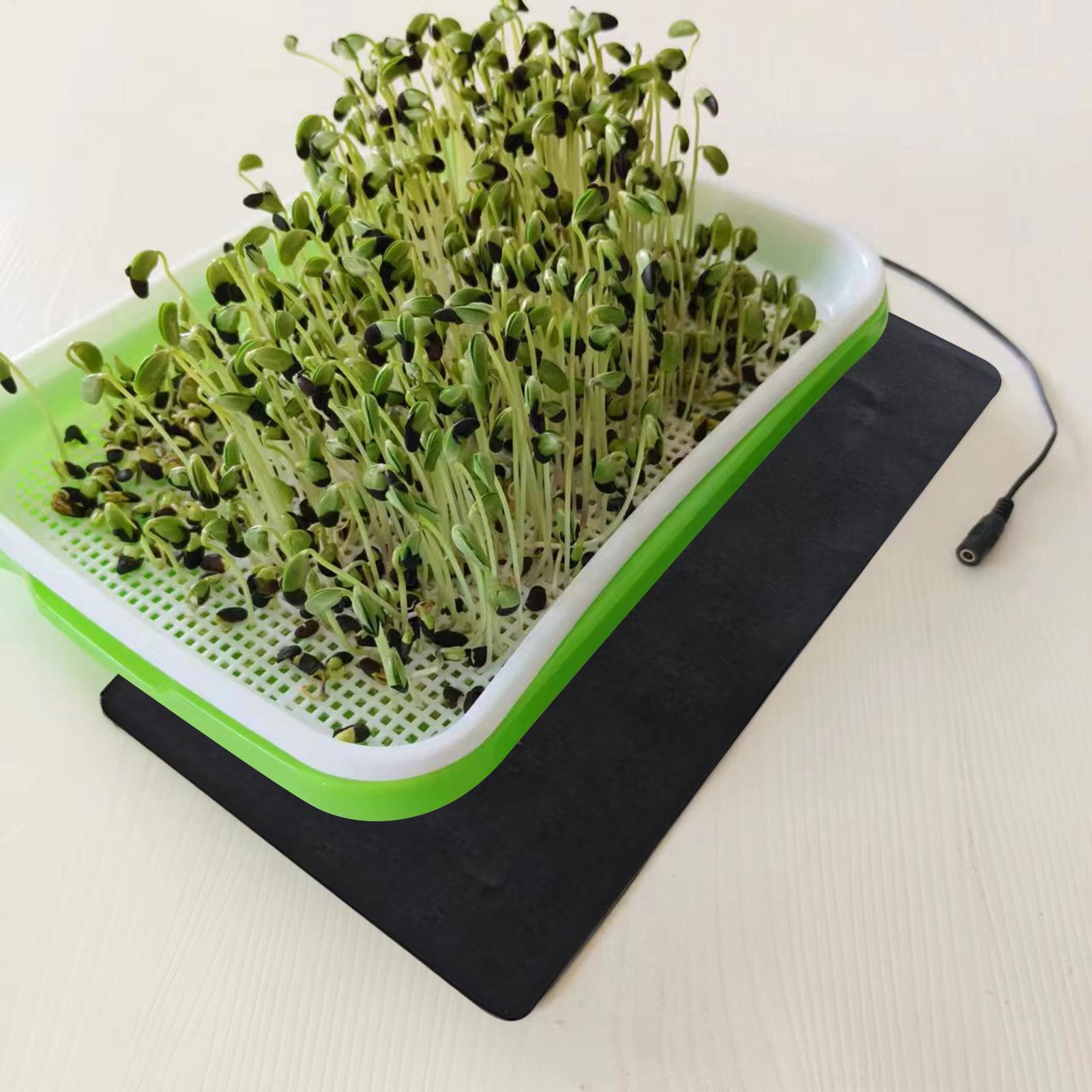 Pflanzen-Keimmatte für Zimmerp – Seedling Heat Mat Bewertung und Preis